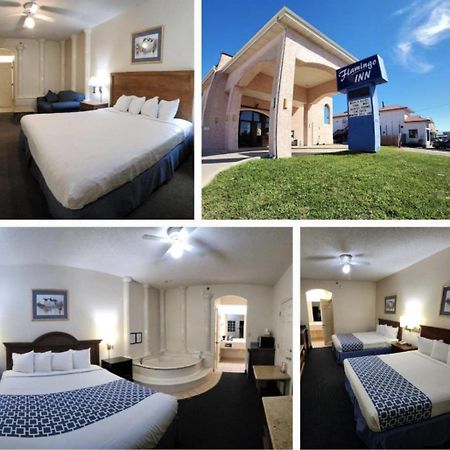 The Flamingo - South Padre Island Exterior foto